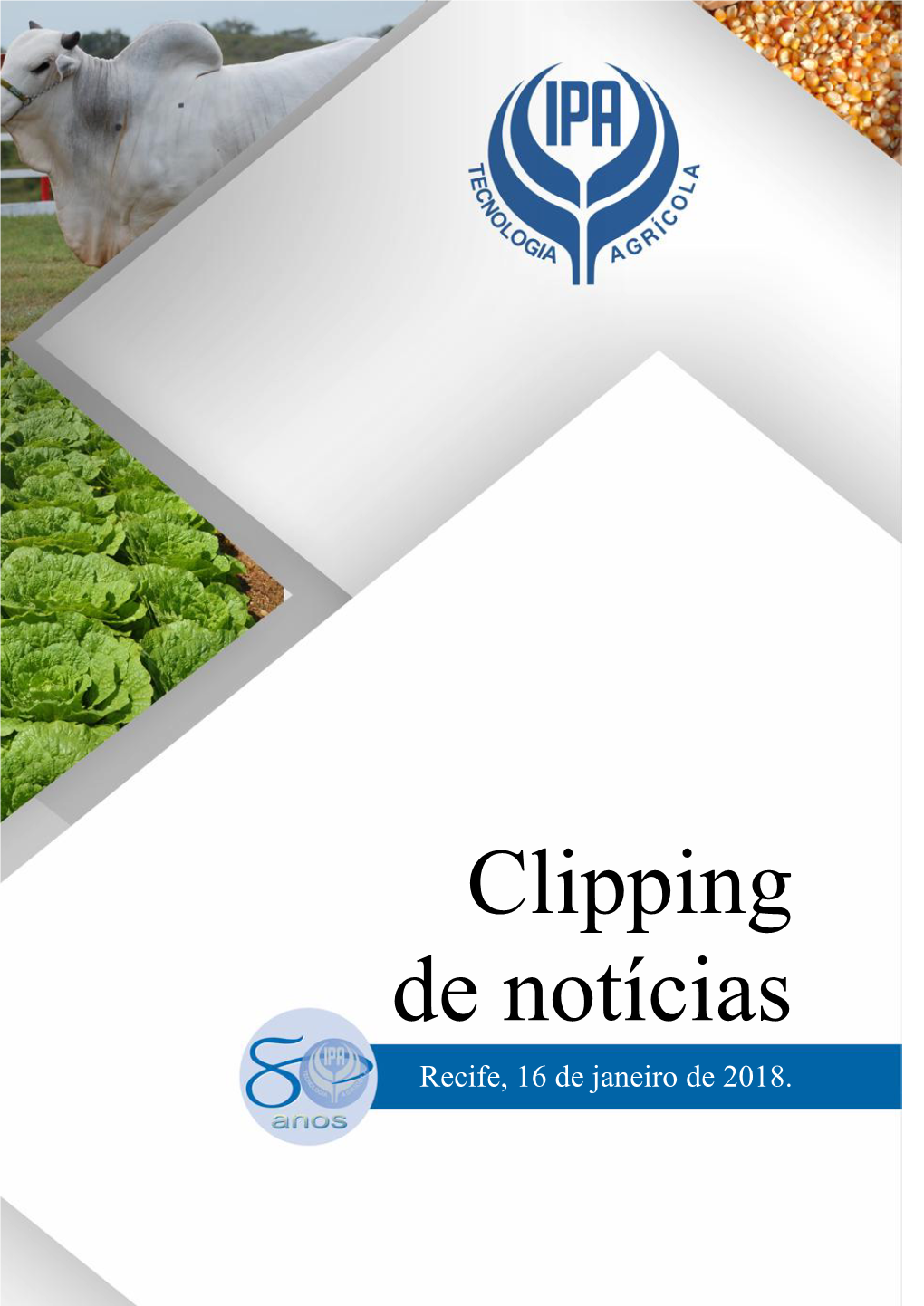 Clipping De Notícias