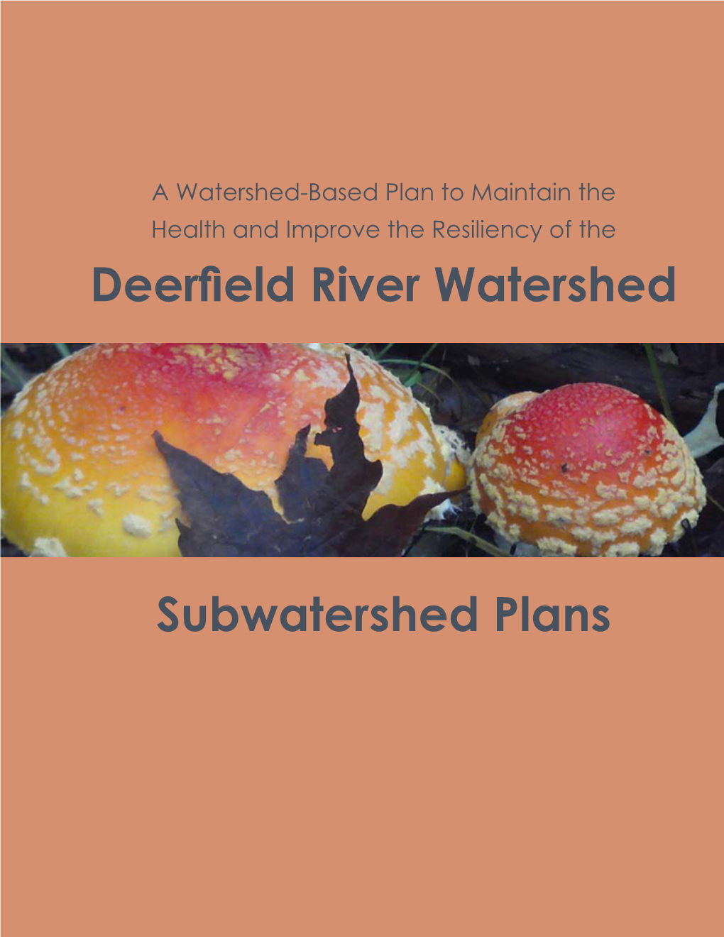 Deerfield River Watershed Subwatershed Plans