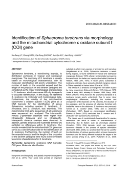 Identification of Sphaeroma Terebrans Via Morphology and the Mitochondrial Cytochrome C Oxidase Subunit I (COI) Gene