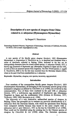 Description of a New Species of Anagrus from China Related to A