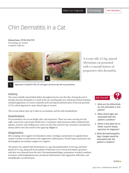 Chin Dermatitis in a Cat