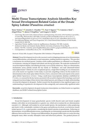 Multi-Tissue Transcriptome Analysis Identifies Key Sexual Development
