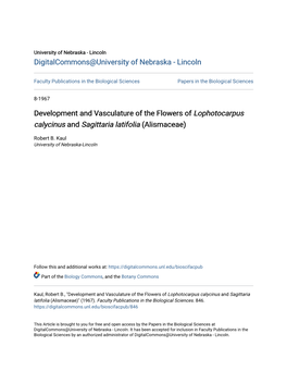 Development and Vasculature of the Flowers of Lophotocarpus Calycinus and Sagittaria Latifolia (Alismaceae)