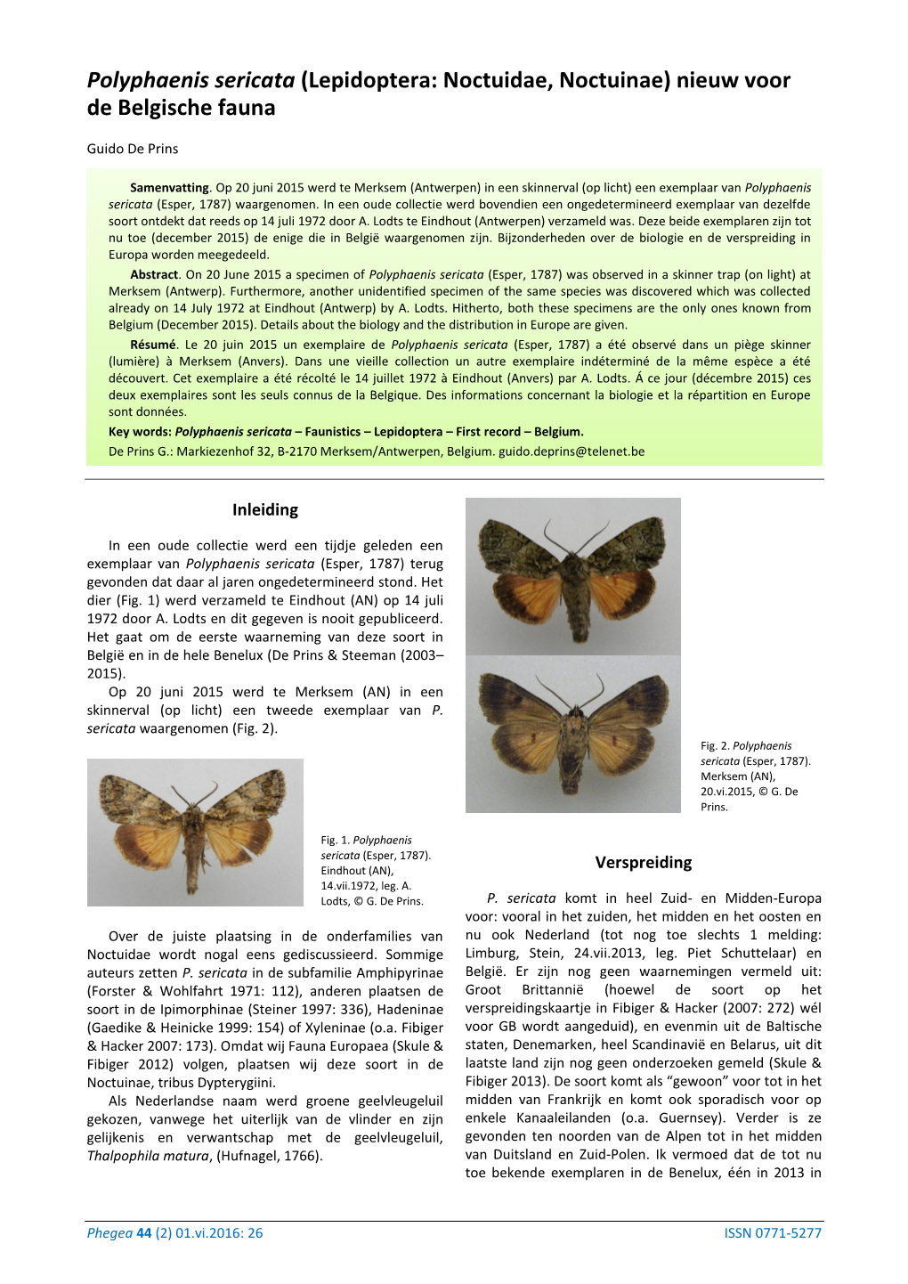Polyphaenis Sericata (Lepidoptera: Noctuidae, Noctuinae) Nieuw Voor De Belgische Fauna