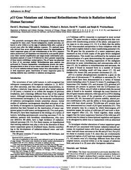 P53 Gene Mutations and Abnormal Retinoblastoma Protein in Radiation-Induced Human Sarcomas1