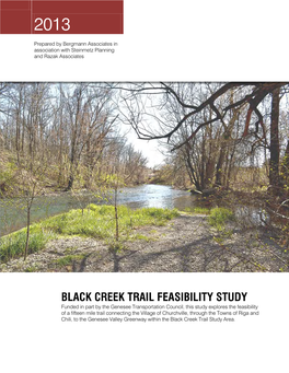 Black Creek Feasibility Study