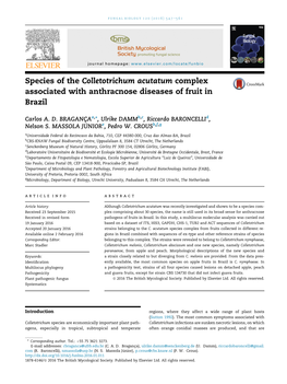 Species of the Colletotrichum Acutatum Complex Associated with Anthracnose Diseases of Fruit in Brazil