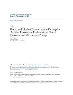Tempo and Mode of Domestication During The