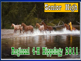 Regional Sr. High Hippology ID 2011