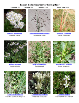 Easton Collection Center Living Roof Families: 31 Genera: 83 Species: 102 Total Taxa: 104