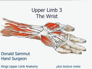 Upper Limb 3 the Wrist
