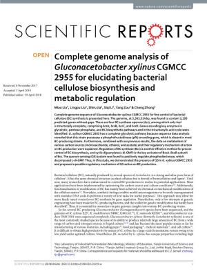 Complete Genome Analysis of Gluconacetobacter Xylinus CGMCC