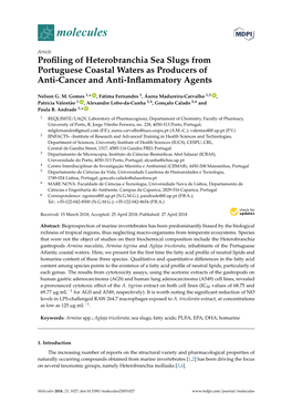 Profiling of Heterobranchia Sea Slugs from Portuguese