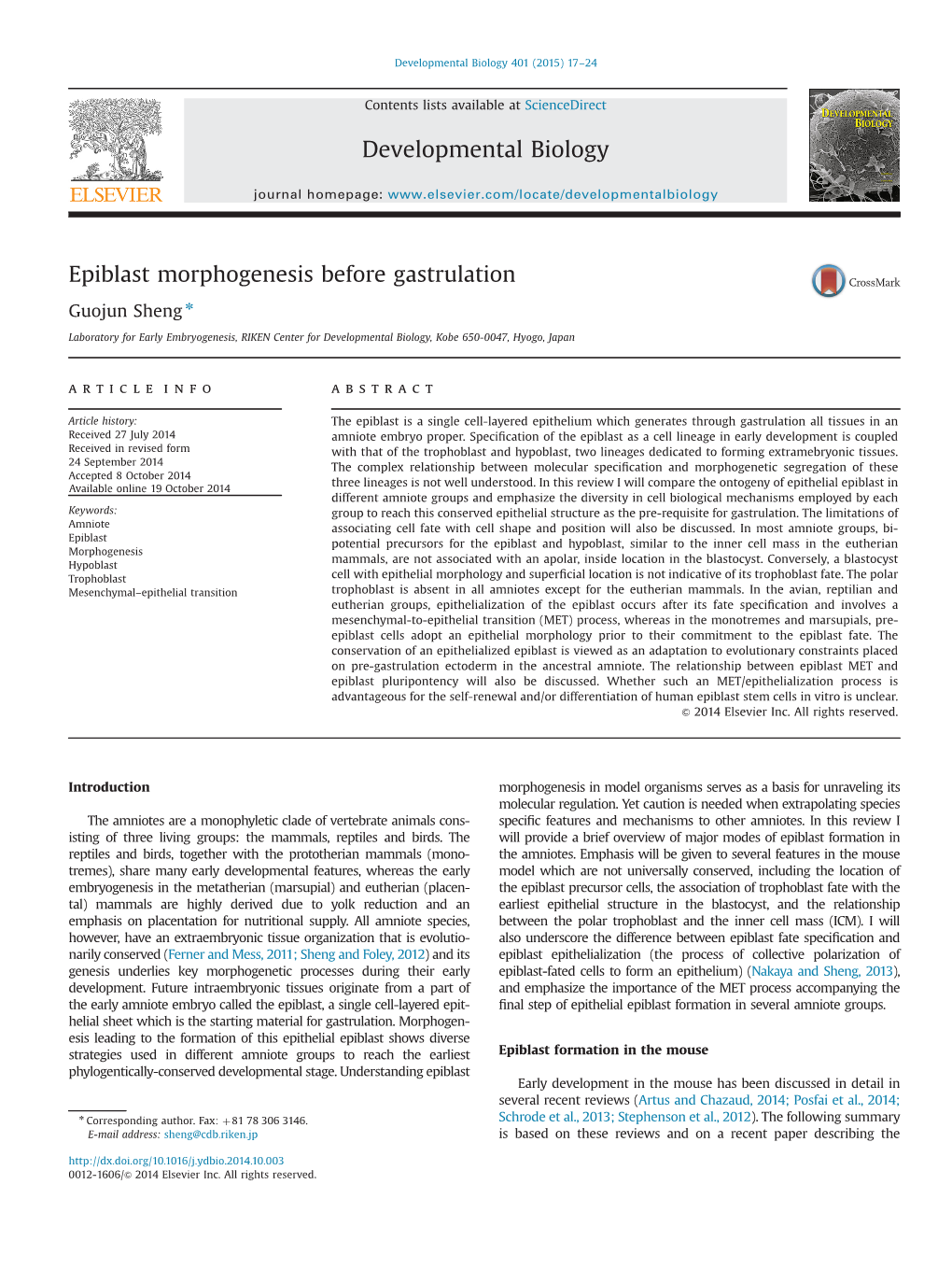 Epiblast Morphogenesis Before Gastrulation