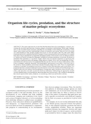Organism Life Cycles, Predation, and the Structure of Marine Pelagic Ecosystems