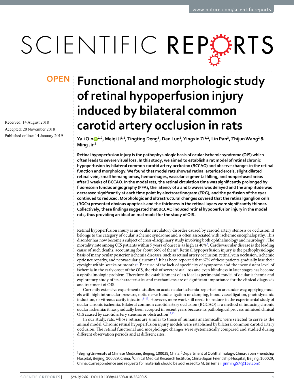 Functional and Morphologic Study of Retinal Hypoperfusion Injury Induced