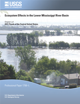 Ecosystem Effects in the Lower Mississippi River Basin