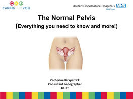 The Normal Pelvis (Everything You Need to Know and More!)