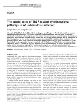 The Crucial Roles of Th17-Related Cytokines/Signal Pathways in M