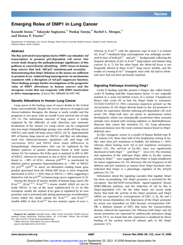 Emerging Roles of DMP1 in Lung Cancer