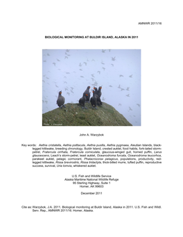 AMNWR 2011/16 BIOLOGICAL MONITORING at BULDIR ISLAND, ALASKA in 2011 John A. Warzybok Key Words