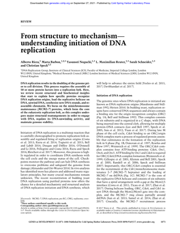 From Structure to Mechanism—Understanding Initiation of DNA Replication
