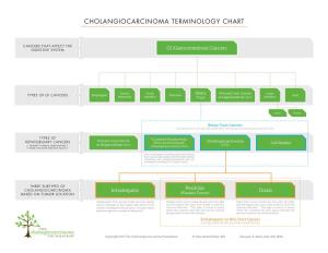 Cholangiocarcinoma Terminology Chart