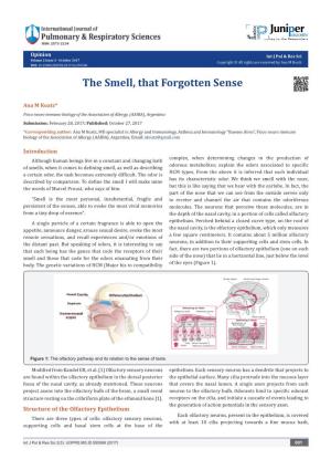 The Smell, That Forgotten Sense