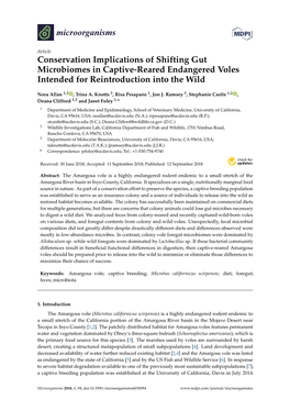 Conservation Implications of Shifting Gut Microbiomes in Captive-Reared Endangered Voles Intended for Reintroduction Into the Wild