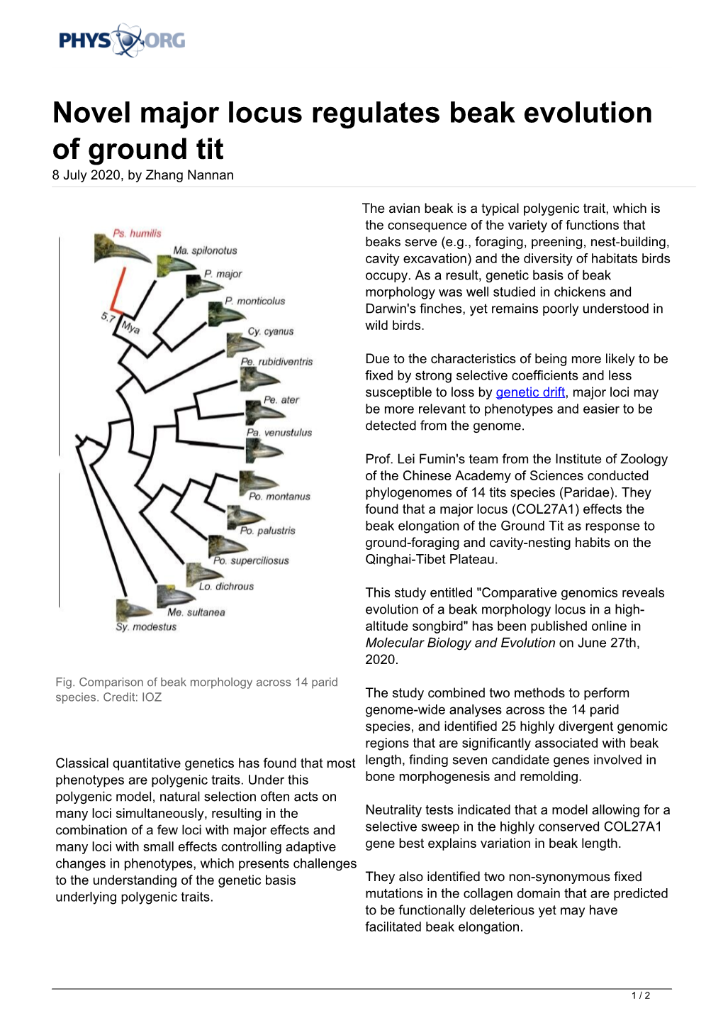 Novel Major Locus Regulates Beak Evolution of Ground Tit 8 July 2020, by Zhang Nannan