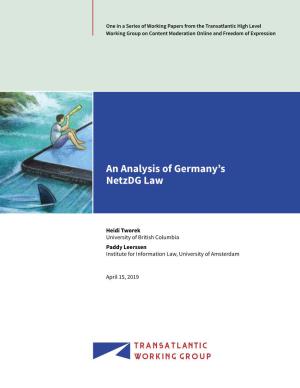 An Analysis of Germany's Netzdg Laws