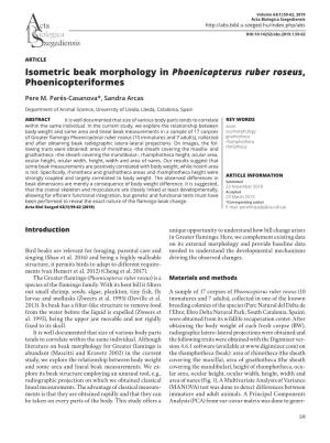 Isometric Beak Morphology in Phoenicopterus Ruber Roseus, Phoenicopteriformes