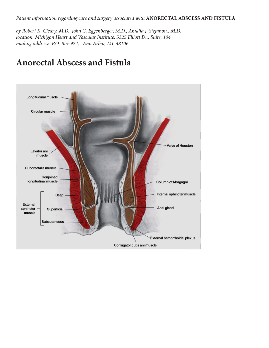 ANORECTAL ABSCESS and FISTULA by Robert K