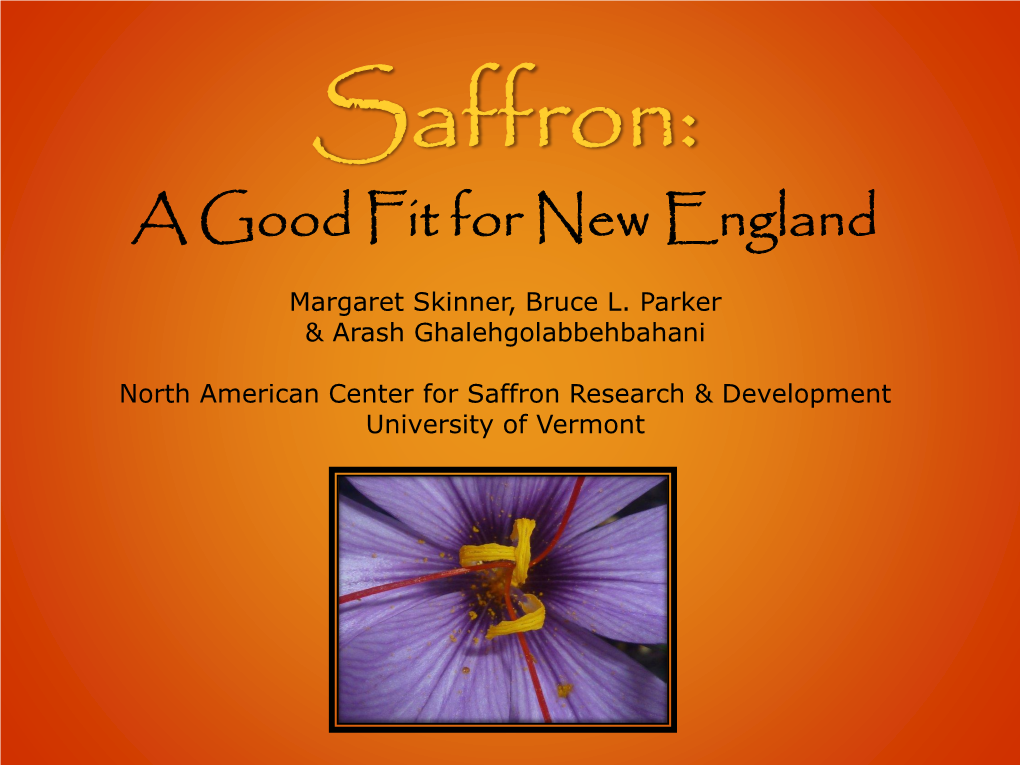 Saffron: a Good Fit for New England