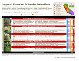 Non-Invasive Plants for California