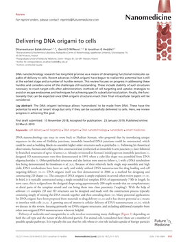 Delivering DNA Origami to Cells
