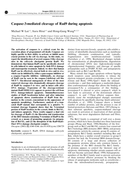 Caspase-3-Mediated Cleavage of Rad9 During Apoptosis