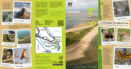 Spurn National Nature Reserve Wildfowl to the Estuary, and the Opportunity to See Birds of Prey