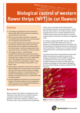 Biological Control of Western Flower Thrips (WFT) in Cut Flowers Agriculture, Fisheries Forestry And