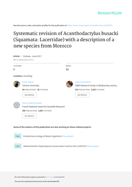 Systematic Revision of Acanthodactylus Busacki (Squamata: Lacertidae) with a Description of a New Species from Morocco