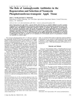 The Role of Aminoglycoside Antibiotics in the Regeneration and Selection of Neomycin Phosphotransferase-Transgenic Apple Tissue