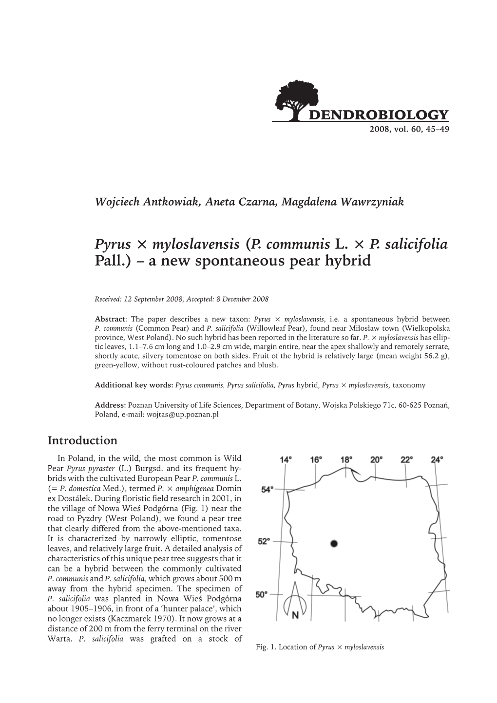 Dendrobiology 60.Vp