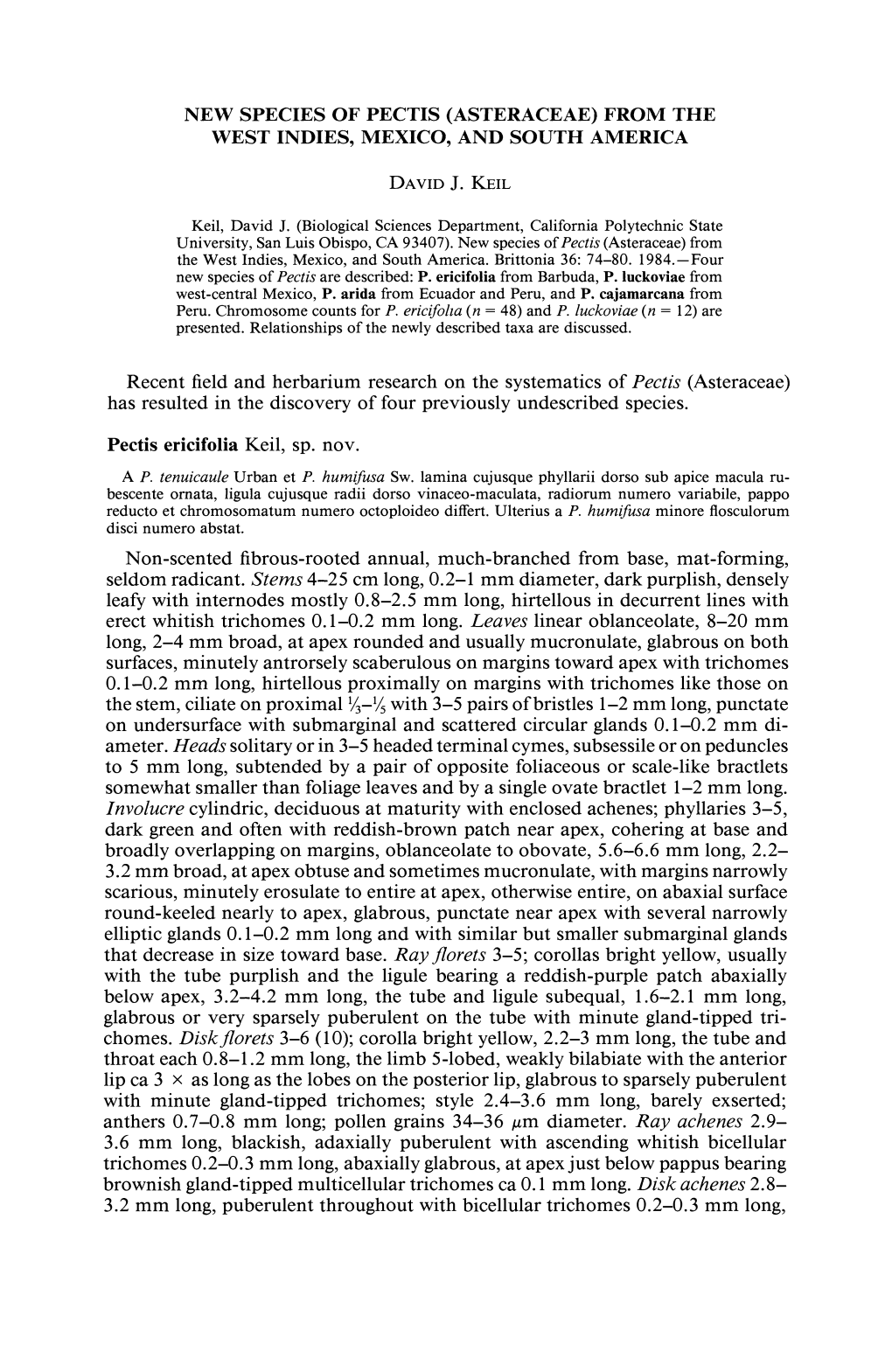 New Species of Pectis (Asteraceae) from the West Indies, Mexico, and South America