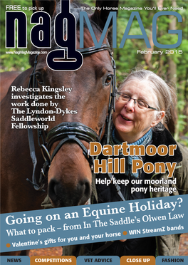 Dartmoor Hill Pony Help Keep Our Moorland Pony Heritage