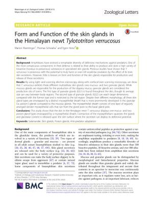 Form and Function of the Skin Glands in the Himalayan Newt Tylototriton Verrucosus Marion Wanninger1, Thomas Schwaha1 and Egon Heiss2*