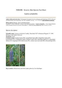 Invasive Alien Species Fact Sheet Lupinus Polyphyllus