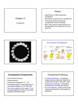 Chapter 13 History Complement Components Complement Pathways