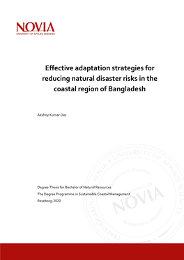 Effective Adaptation Strategies for Reducing Natural Disaster Risks in the Coastal Region of Bangladesh