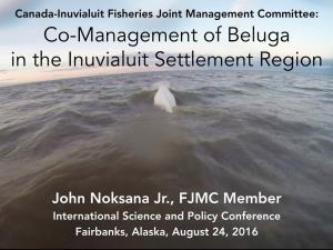 Co-Management of Beluga in the Inuvialuit Settlement Region