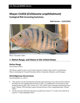 Mayan Cichlid (Cichlasoma Urophthalmum) Ecological Risk Screening Summary